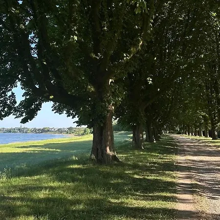 Spacious Flat By The Rhine Ideal For Groups * 诺伊斯