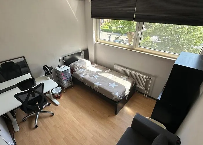 Spacious Flat By The Rhine Ideal For Groups Lejlighed