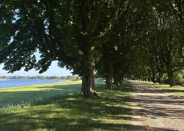 Spacious Flat By The Rhine Ideal For Groups * Neuss