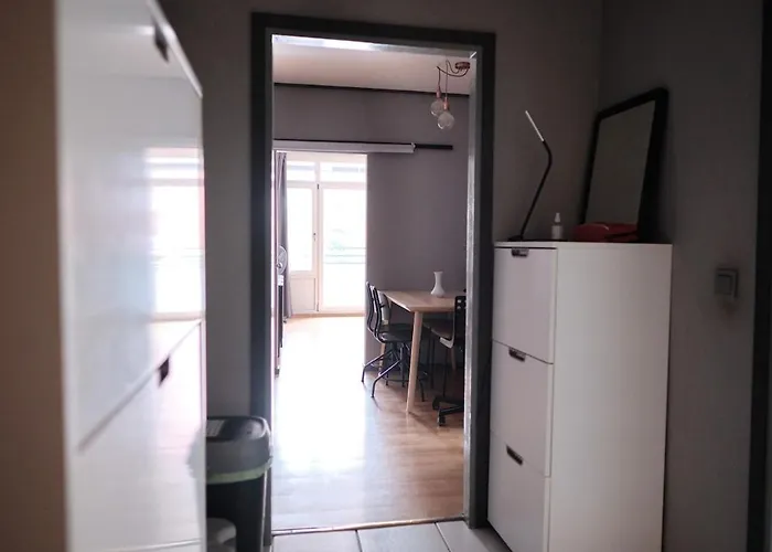 Spacious Flat By The Rhine Ideal For Groups *