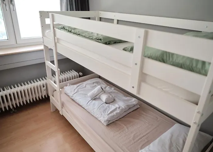 Spacious Flat By The Rhine Ideal For Groups Lejlighed